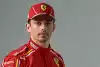 Bild zum Inhalt: Charles Leclerc: Wusste vor meinem Vertrag, dass Hamilton kommt