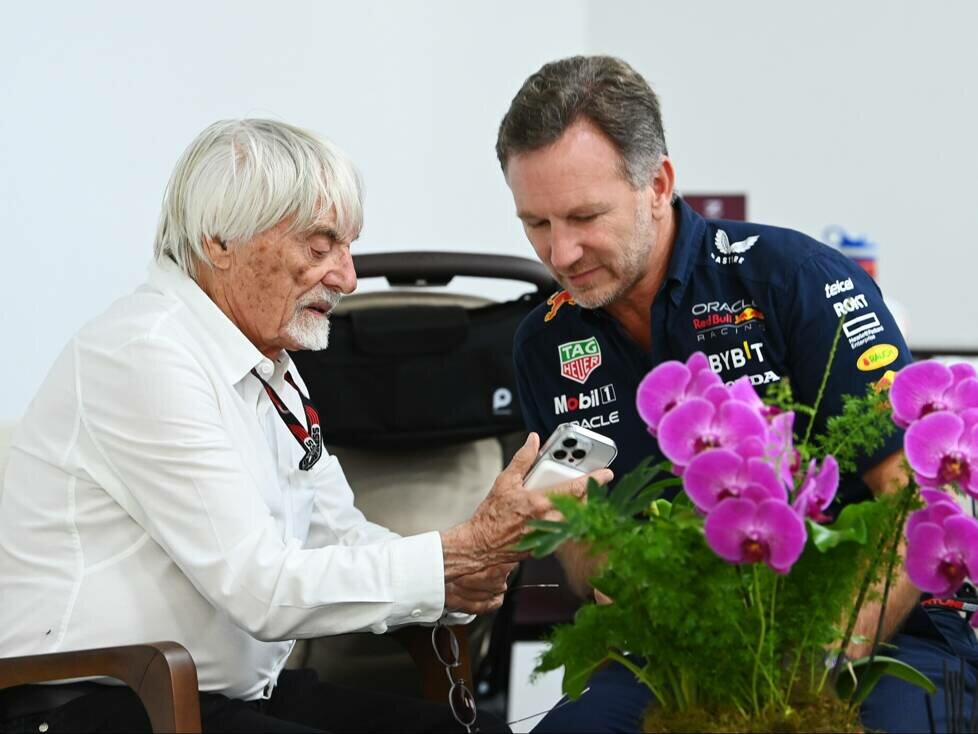 Bernie Ecclestone, Christian Horner
