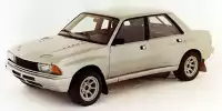 Peugeot 305 V6