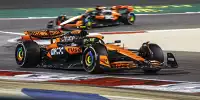 Lando Norris, Oscar Piastri