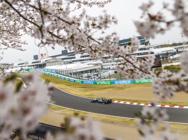 Bei Mercedes blüht in Suzuka leise Hoffnung auf Bei Mercedes blüht in Suzuka leise Hoffnung auf
