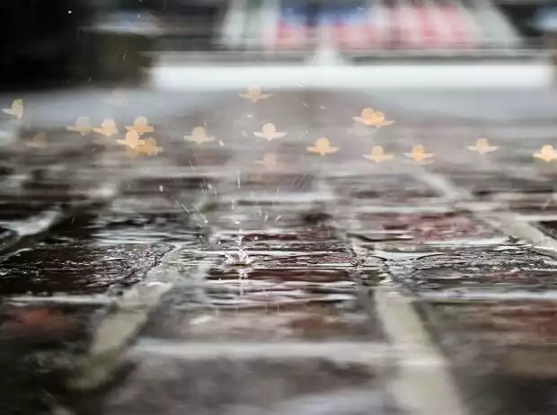 Regen am Indianapolis Motor Speedway Titel-Bild zur News: Regen am Indianapolis Motor Speedway