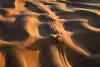 Bild zum Inhalt: Dakar-Doku auf YouTube: Das letzte große Abenteuer im Motorsport