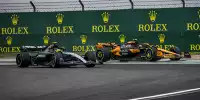 Lewis Hamilton, Lando Norris