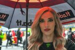 Grid Girl