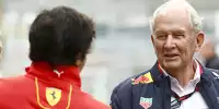 Bild zum Inhalt: Helmut Marko sieht Ferrari als größten Herausforderer von Red Bull in Monaco