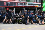 Max Verstappen (Red Bull) 