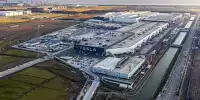 Bild zum Inhalt: Tesla Model Y: Produktion in Schanghai deutlich verringert