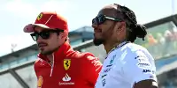 Bild zum Inhalt: Ferrari: Kommen sich Leclerc und Hamilton 2025 in die Quere?