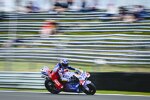 Alex Marquez (Gresini) 