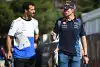 Bild zum Inhalt: Ricciardo: Leute dreschen zu sehr auf Verstappen ein