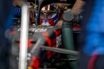 Max Verstappen (Red Bull) 