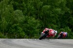 Enea Bastianini (Ducati) 