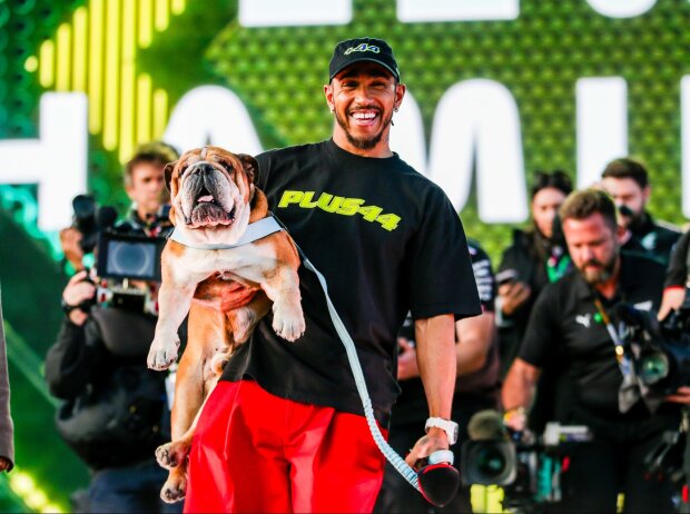 Ausgelassene Siegessause: Hamilton feiert mit Hund Roscoe auf der Bühne Ausgelassene Siegessause: Hamilton feiert mit Hund Roscoe auf der Bühne