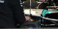 Mercedes-Nase im Detail