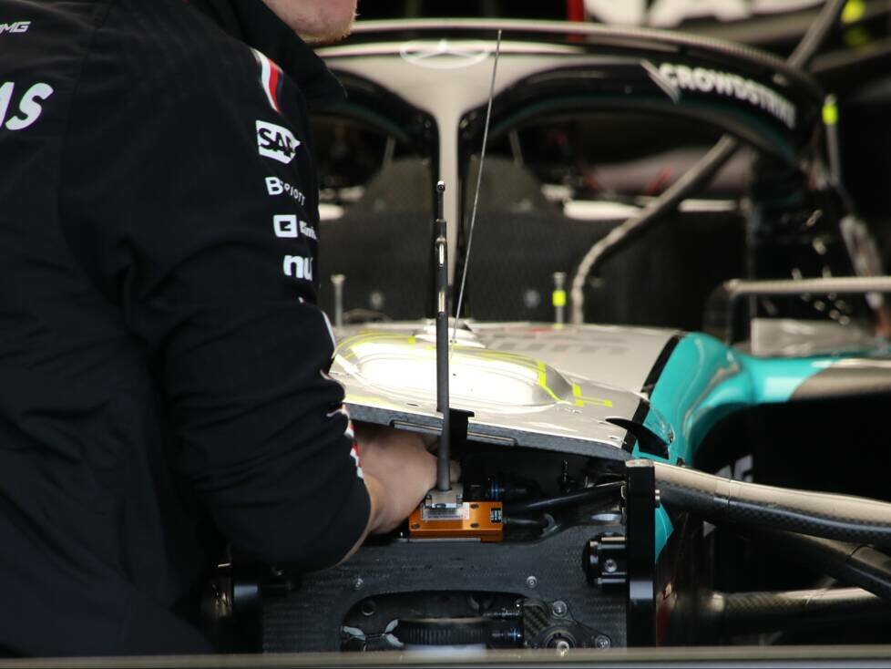 Mercedes-Nase im Detail