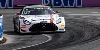 Maro Engel
