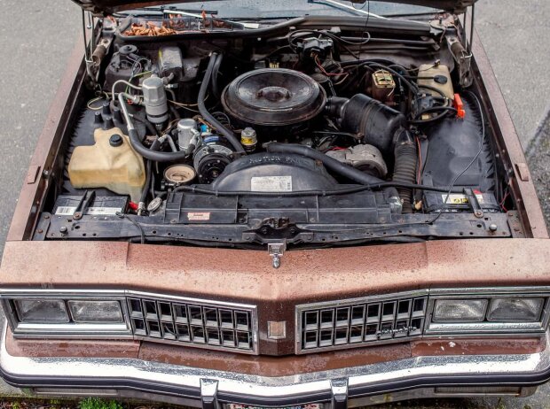 1981er Oldsmobile Diesel 1981er Oldsmobile Diesel