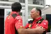 Bild zum Inhalt: Vasseur lobt Sainz: Geht professionell mit der Situation um
