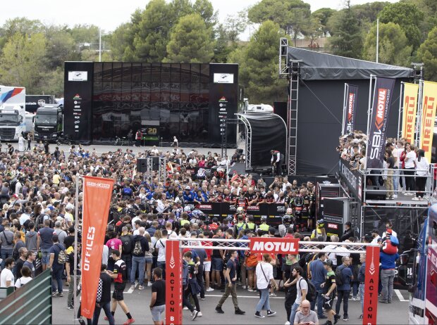Paddock Show Paddock Show