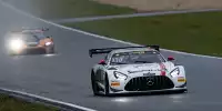 Maro Engel