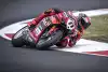 Bild zum Inhalt: WSBK Magny-Cours (Lauf 2): Bulega-Sieg macht die WM spannend!