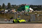 Thomas Preining (Manthey-EMA-Porsche) 