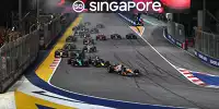 Lando Norris, Max Verstappen, Lewis Hamilton
