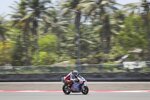 Alex Marquez (Gresini) 