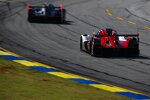 Felipe Nasr und Matt Campbell 