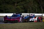 Renger van der Zande und Scott Dixon 