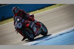 Nicolo Bulega