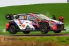 Bild zum Inhalt: WRC Rallye Zentraleuropa 2024: Thierry Neuville wirft Führung weg!