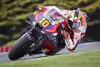 Bild zum Inhalt: Luca Marini gelingt erstes Top-10-Ergebnis mit Honda, aber nur im Sprint