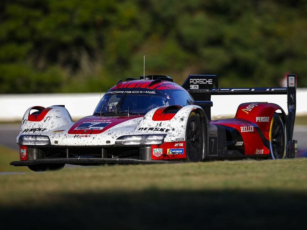 Felipe Nasr, Matt Campbell, Dane Cameron