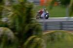 Alex Marquez (Gresini) 