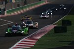 Mirko Bortolotti und Edoardo Mortara 