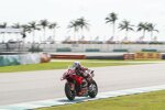Enea Bastianini (Ducati) 