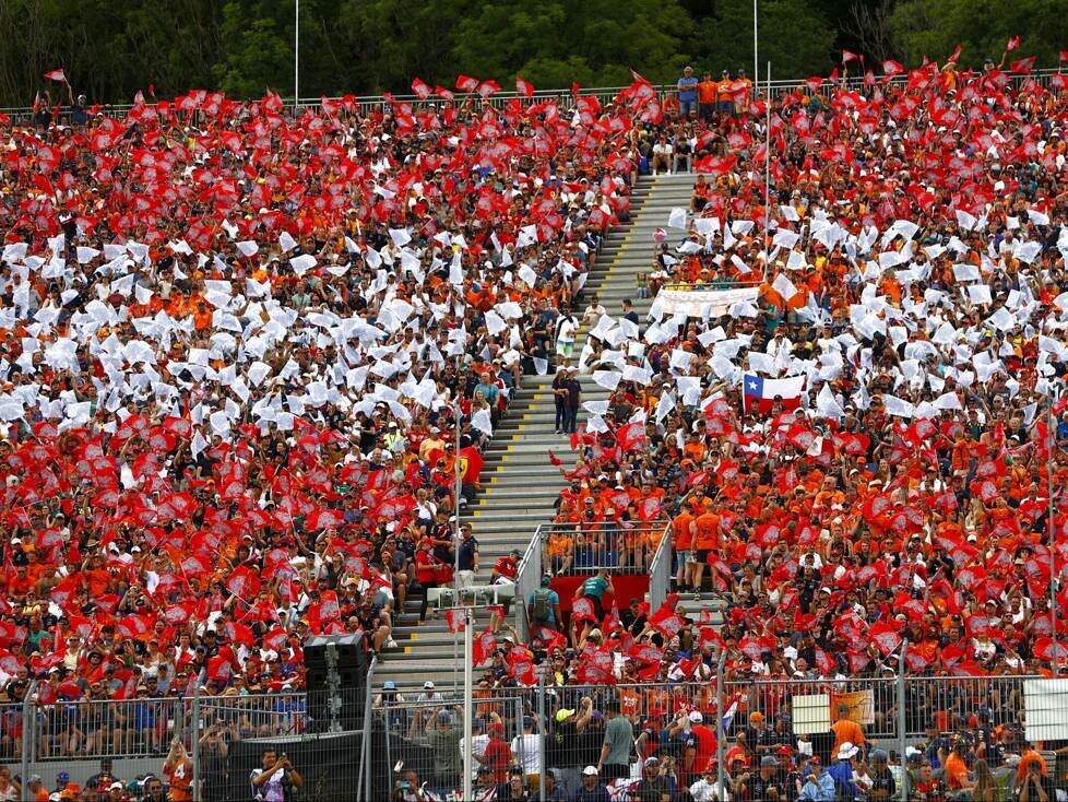 Fans in Österreich