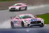 Bild zum Inhalt: Mücke präsentiert mit Axel Bengtsson den ersten Fahrer für die Saison 2025
