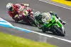 Bild zum Inhalt: Alex Lowes zur WSBK 2024: "Alvaro Bautista war in diesem Jahr langsamer"