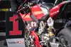 Bild zum Inhalt: Luigi Dall'Igna betont: WSBK 2025 wird kein Übergangsjahr für Ducati!