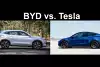 Bild zum Inhalt: BEV-Verkäufe 2024: Tesla nur noch knapp vor BYD