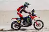 Bild zum Inhalt: Rallye Dakar 2025: Schareina verkürzt in Etappe 11 den Rückstand auf Sanders