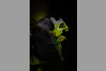 VR46 Racing Team