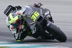 Joan Mir (Honda) 