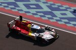 Robin Frijns und Sheldon van der Linde 