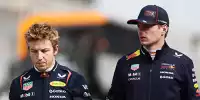 Liam Lawson, Max Verstappen
