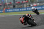 Pedro Acosta (KTM) 