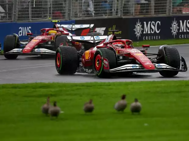 Charles Leclerc, Lewis Hamilton Titel-Bild zur News: Charles Leclerc, Lewis Hamilton